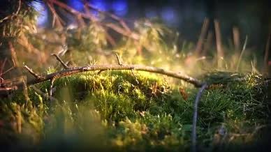 生机盎然的树枝绿叶logo生长效果2视频的预览图